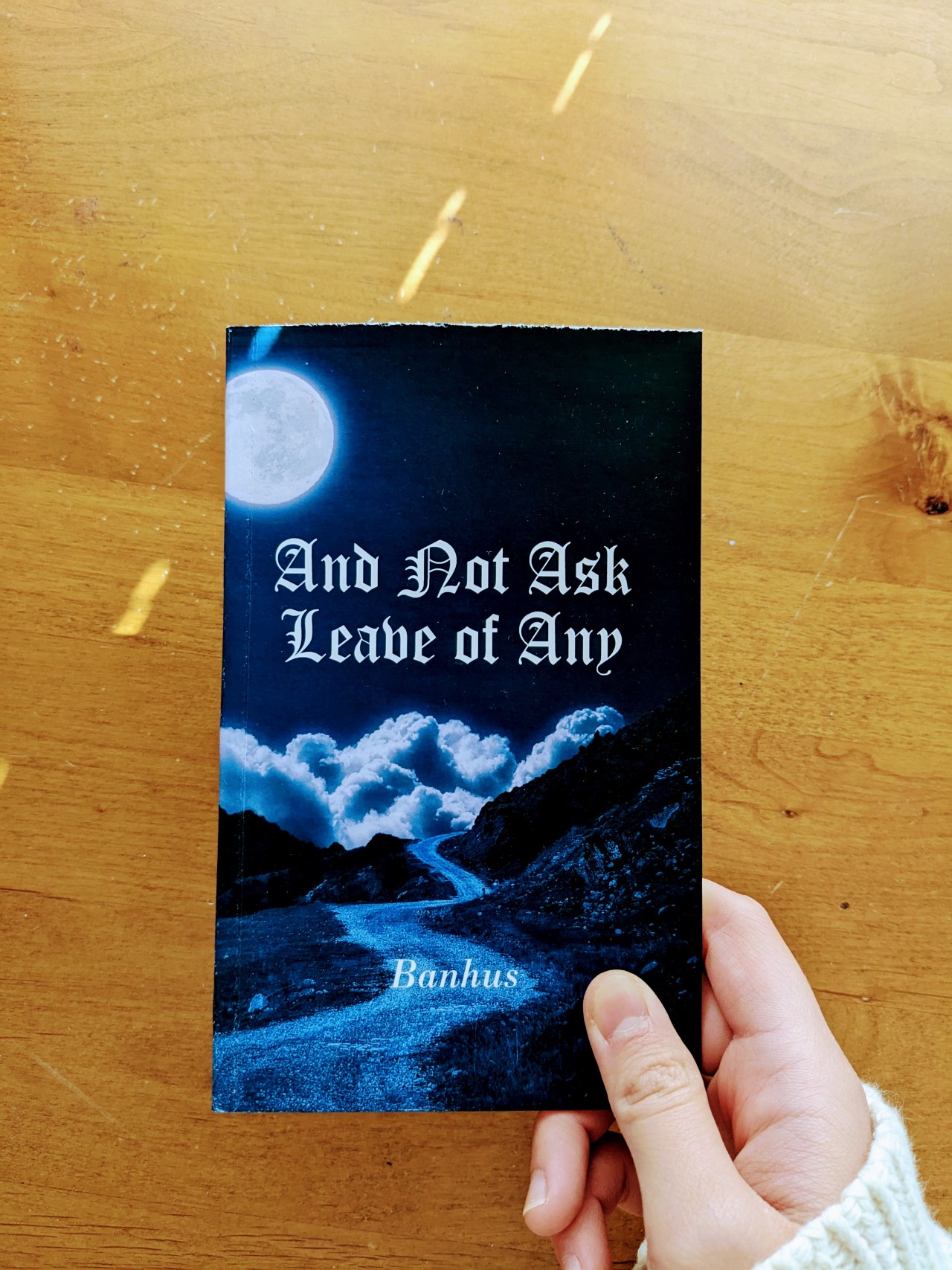 photo of fanbind 'And Ask Not Leave of Any'