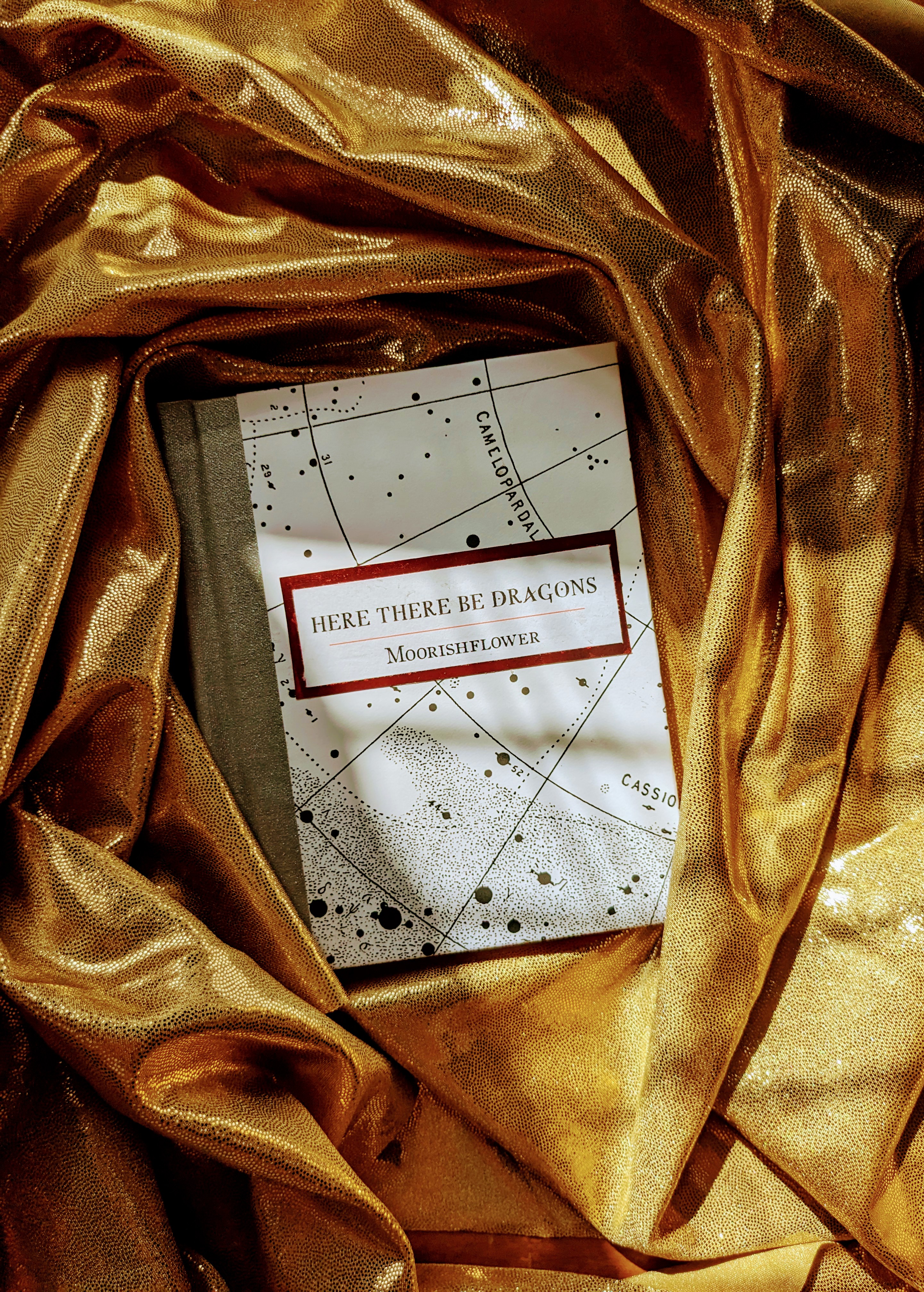 photo of fanbind 'Here there be dragons'