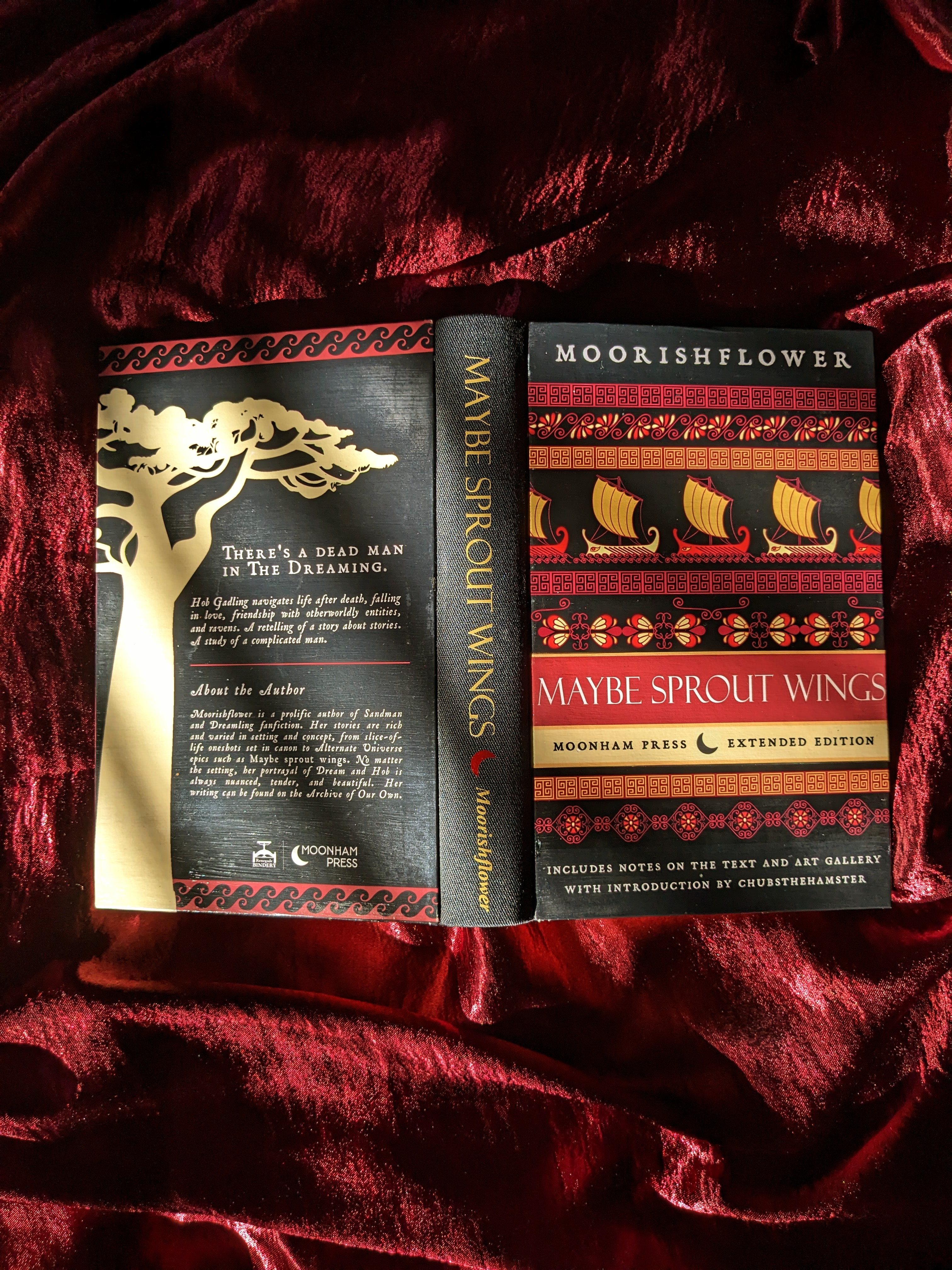 photo of fanbind 'Maybe Sprout Wings'