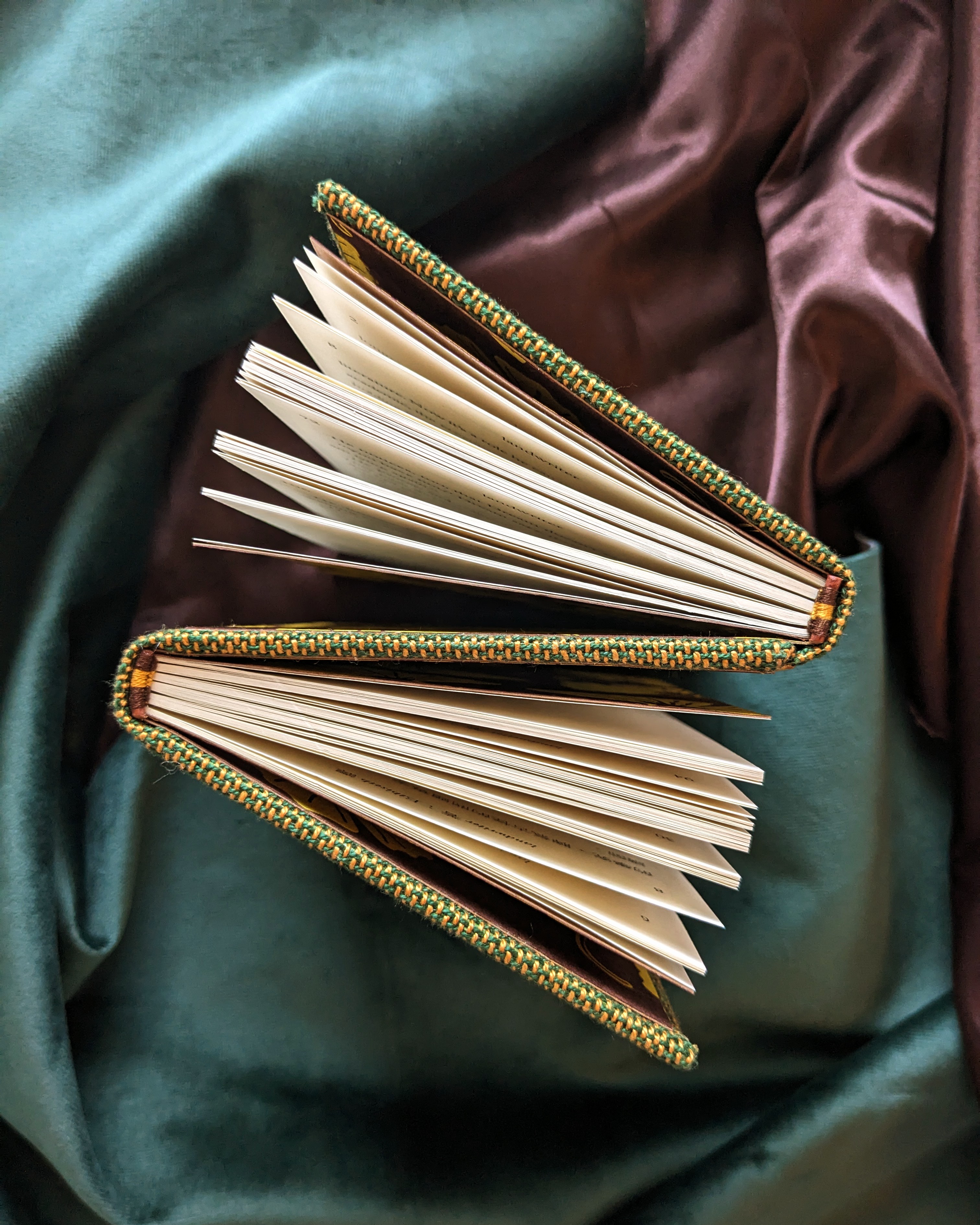 photo of fanbind 'The Death of Translation'